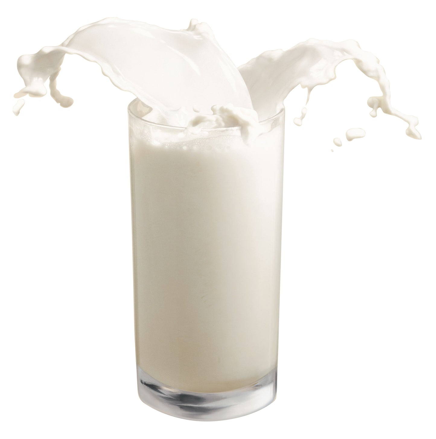 Lait de Chamelle en Poudre 100 g Boisson Naturelle Lyophilisée