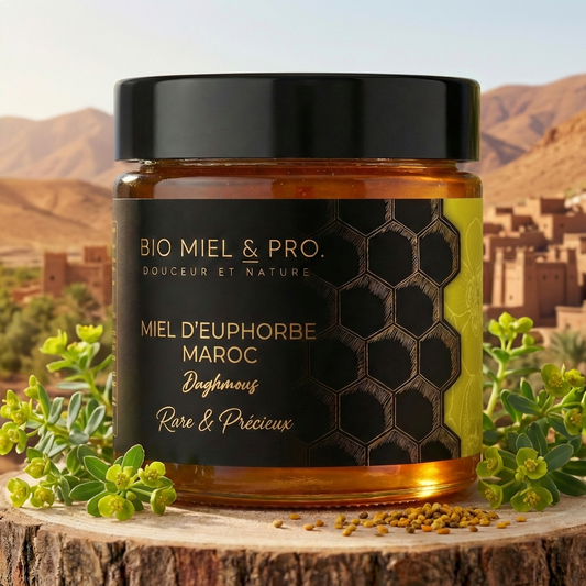 Pot de miel euphorbe Daghmouss Maroc 250g 