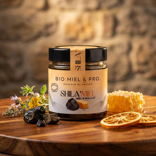mélange miel et shilajit 250g 