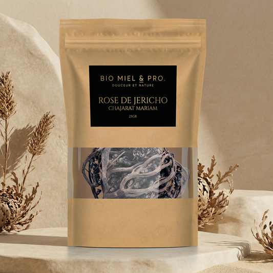 rose de jericho plante desert